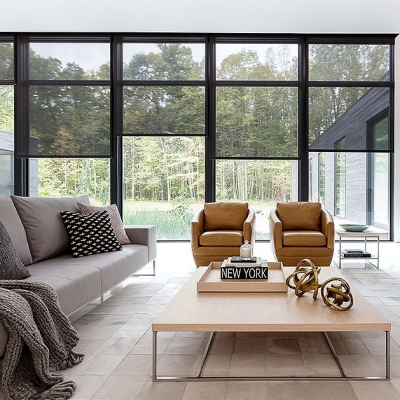 Living Room Blinds